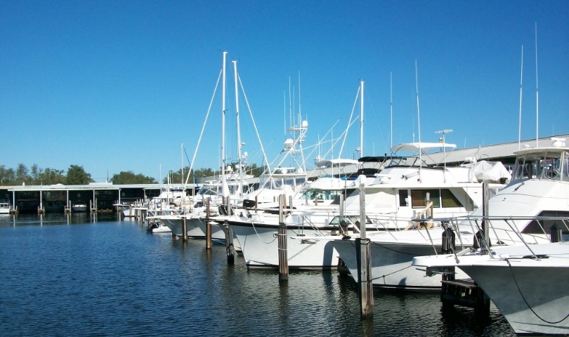 orleans marina